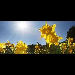 Meet your Posher, Judith